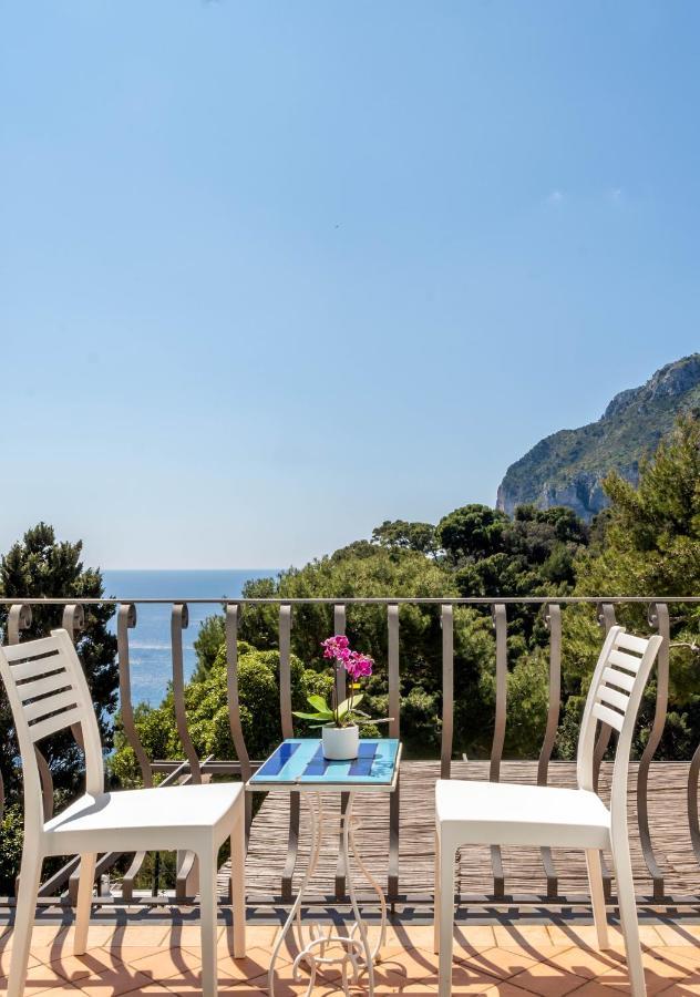 Oliveto Capri Apartments Bagian luar foto